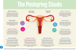 Todo lo que necesitas saber sobre métodos anticonceptivos: información completa y actualizada